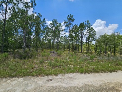 WILLISTON HIGHLANDS GOLF & COUNTRY CLUB ESTATES BUILDING LOT! on Williston Highlands Golf and Country Club in Florida - for sale on GolfHomes.com, golf home, golf lot