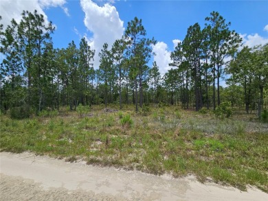 WILLISTON HIGHLANDS GOLF & COUNTRY CLUB ESTATES BUILDING LOT! on Williston Highlands Golf and Country Club in Florida - for sale on GolfHomes.com, golf home, golf lot