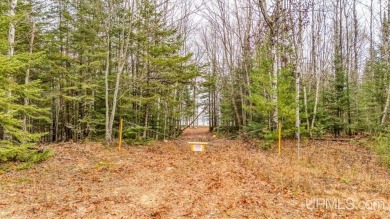 This 1.84-acre lot offers 237 feet of frontage on Lake on Nahma Club in Michigan - for sale on GolfHomes.com, golf home, golf lot