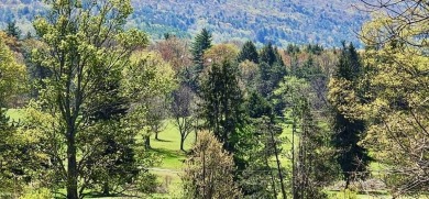 Welcome to 75+/- acres w/ breathtaking mountain views, just 5 on Afton Golf Club in New York - for sale on GolfHomes.com, golf home, golf lot