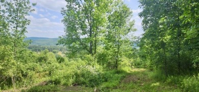 Welcome to 75+/- acres w/ breathtaking mountain views, just 5 on Afton Golf Club in New York - for sale on GolfHomes.com, golf home, golf lot