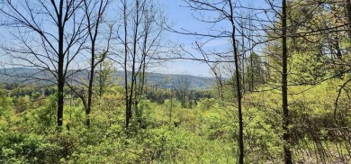 Welcome to 75+/- acres w/ breathtaking mountain views, just 5 on Afton Golf Club in New York - for sale on GolfHomes.com, golf home, golf lot