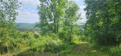 What would you do with this large land parcel with stunning on Afton Golf Club in New York - for sale on GolfHomes.com, golf home, golf lot