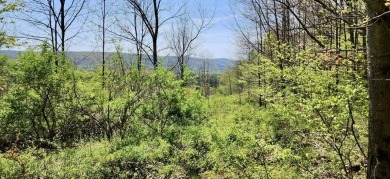 Welcome to 75+/- acres w/ breathtaking mountain views, just 5 on Afton Golf Club in New York - for sale on GolfHomes.com, golf home, golf lot