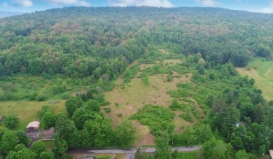 Welcome to 75+/- acres w/ breathtaking mountain views, just 5 on Afton Golf Club in New York - for sale on GolfHomes.com, golf home, golf lot