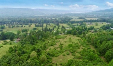 Welcome to 75+/- acres w/ breathtaking mountain views, just 5 on Afton Golf Club in New York - for sale on GolfHomes.com, golf home, golf lot