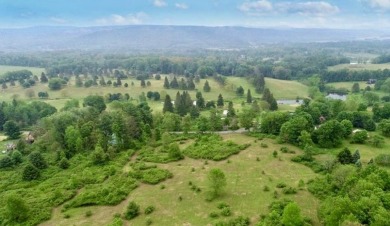 Welcome to 75+/- acres w/ breathtaking mountain views, just 5 on Afton Golf Club in New York - for sale on GolfHomes.com, golf home, golf lot