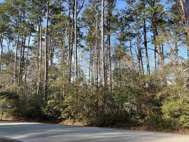 Wonderful opportunity to build your dream home in the desirable on The Founders Club At Pawleys Island in South Carolina - for sale on GolfHomes.com, golf home, golf lot