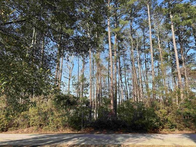 Wonderful opportunity to build your dream home in the desirable on The Founders Club At Pawleys Island in South Carolina - for sale on GolfHomes.com, golf home, golf lot