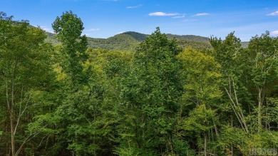 LAND WALK & AMENITIES TOUR THIS SATURDAY 11/9/24. SEE WHAT YOU on Natures Walk At Chinquapin in North Carolina - for sale on GolfHomes.com, golf home, golf lot