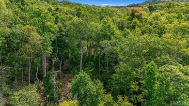 LAND WALK & AMENITIES TOUR THIS SATURDAY 11/9/24. SEE WHAT YOU on Natures Walk At Chinquapin in North Carolina - for sale on GolfHomes.com, golf home, golf lot