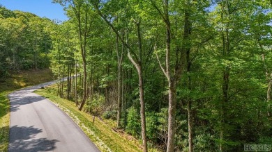 LAND WALK & AMENITIES TOUR THIS SATURDAY 11/9/24. SEE WHAT YOU on Natures Walk At Chinquapin in North Carolina - for sale on GolfHomes.com, golf home, golf lot