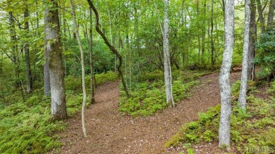 Welcome to 32 Footbridge Drive, an extraordinary mountain on High Hampton Inn and Country Club in North Carolina - for sale on GolfHomes.com, golf home, golf lot