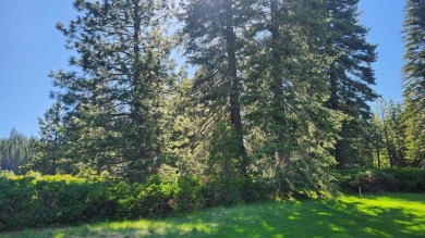 Gorgeous golf course lot in Bailey Creek. This lot is located on on Bailey Creek Golf Course in California - for sale on GolfHomes.com, golf home, golf lot
