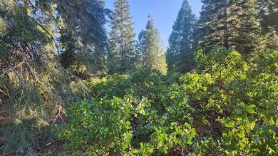 Gorgeous golf course lot in Bailey Creek. This lot is located on on Bailey Creek Golf Course in California - for sale on GolfHomes.com, golf home, golf lot