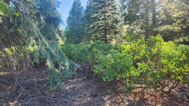 Gorgeous golf course lot in Bailey Creek. This lot is located on on Bailey Creek Golf Course in California - for sale on GolfHomes.com, golf home, golf lot