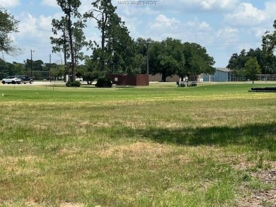 GOLF COURSE LOT with VIP PERKS -- Build or Escape!

Looking for on Hilltop Lakes Resort Golf Club in Texas - for sale on GolfHomes.com, golf home, golf lot