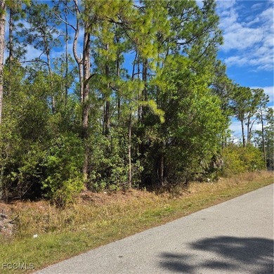 Enjoy peaceful country living while remaining close to all that on The Club At Twin Eagles in Florida - for sale on GolfHomes.com, golf home, golf lot