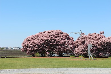If you've been watching for the perfect coastal home, this on Brick Landing Plantation Yacht and Golf Club in North Carolina - for sale on GolfHomes.com, golf home, golf lot