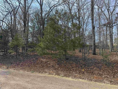 Prime lot on Red Apple golf course. Overlooking hole 12 and back on Red Apple Inn and Country Club in Arkansas - for sale on GolfHomes.com, golf home, golf lot