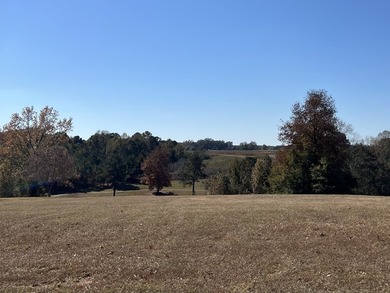 Beautiful pond views from this builder ready lot in Willow Walk on Headland Country Club in Alabama - for sale on GolfHomes.com, golf home, golf lot