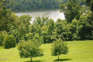 Location*Location* LocationThis 31 acre parcel on 39,000 acre on Southwest Point Golf Course in Tennessee - for sale on GolfHomes.com, golf home, golf lot