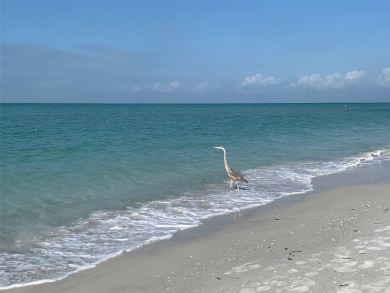 Your spacious DREAM condo in Paradise has arrived! This roomy on Treasure Bay Golf and Tennis in Florida - for sale on GolfHomes.com, golf home, golf lot