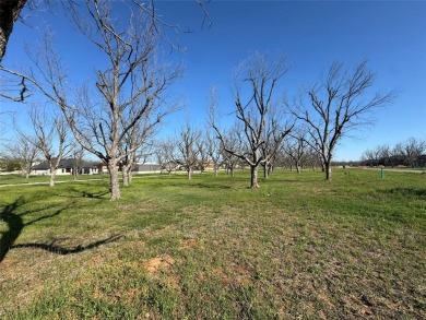FLY IN TO THE LANDINGS 66TE  SEE THIS READY TO BUILD LOT BEFORE on Pecan Plantation Country Club in Texas - for sale on GolfHomes.com, golf home, golf lot