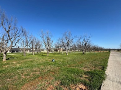 FLY IN TO THE LANDINGS 66TE  SEE THIS READY TO BUILD LOT BEFORE on Pecan Plantation Country Club in Texas - for sale on GolfHomes.com, golf home, golf lot