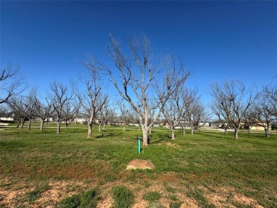 FLY IN TO THE LANDINGS 66TE  SEE THIS READY TO BUILD LOT BEFORE on Pecan Plantation Country Club in Texas - for sale on GolfHomes.com, golf home, golf lot