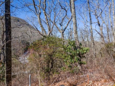 Great mountain views from this gently rolling home-site located on Old Edwards Club in North Carolina - for sale on GolfHomes.com, golf home, golf lot