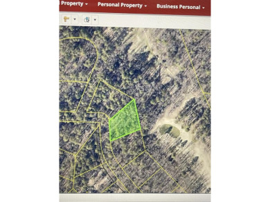 Golf Course frontage on the backside of Lot 123 in Tannenbaum on Tannenbaum Golf Club in Arkansas - for sale on GolfHomes.com, golf home, golf lot