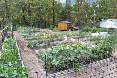 Build Your Dream Home with Majestic Mountain Views in Achasta!

 on Achasta Golf Club in Georgia - for sale on GolfHomes.com, golf home, golf lot