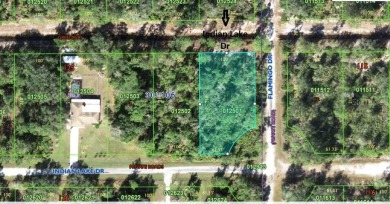 Escape the ordinary and discover the potential of this half-acre on Indian Lake Estates Golf and Country Club in Florida - for sale on GolfHomes.com, golf home, golf lot