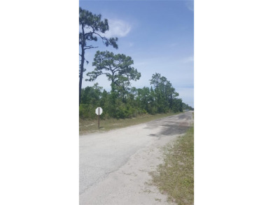 Escape the ordinary and discover the potential of this half-acre on Indian Lake Estates Golf and Country Club in Florida - for sale on GolfHomes.com, golf home, golf lot