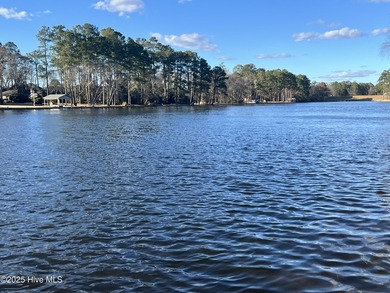 Introducing luxury lakefront living in the Village of Walnut on Walnut Creek Country Club in North Carolina - for sale on GolfHomes.com, golf home, golf lot