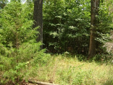 Great golf course lots at an affordable price. These lots are on on The Course At Turkey Mountain in Arkansas - for sale on GolfHomes.com, golf home, golf lot
