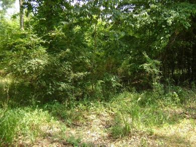 Great golf course lots at an affordable price. These lots are on on The Course At Turkey Mountain in Arkansas - for sale on GolfHomes.com, golf home, golf lot