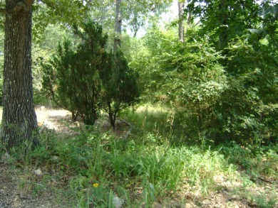 Great golf course lots at an affordable price. These lots are on on The Course At Turkey Mountain in Arkansas - for sale on GolfHomes.com, golf home, golf lot