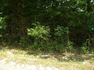 Great golf course lots at an affordable price. These lots are on on The Course At Turkey Mountain in Arkansas - for sale on GolfHomes.com, golf home, golf lot