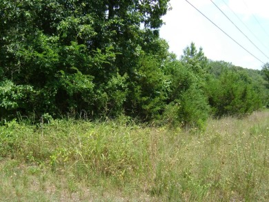 Great golf course lots at an affordable price. These lots are on on The Course At Turkey Mountain in Arkansas - for sale on GolfHomes.com, golf home, golf lot