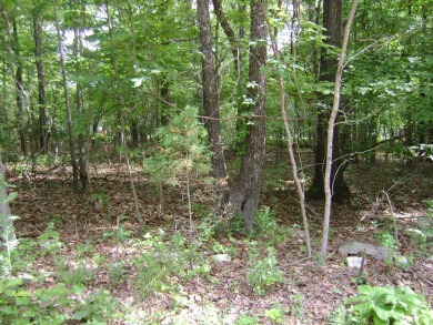 Great golf course lots at an affordable price. These lots are on on The Course At Turkey Mountain in Arkansas - for sale on GolfHomes.com, golf home, golf lot
