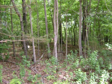 Great golf course lots at an affordable price. These lots are on on The Course At Turkey Mountain in Arkansas - for sale on GolfHomes.com, golf home, golf lot