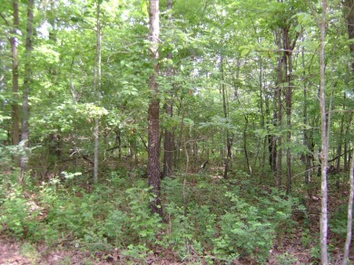 Great golf course lots at an affordable price. These lots are on on The Course At Turkey Mountain in Arkansas - for sale on GolfHomes.com, golf home, golf lot