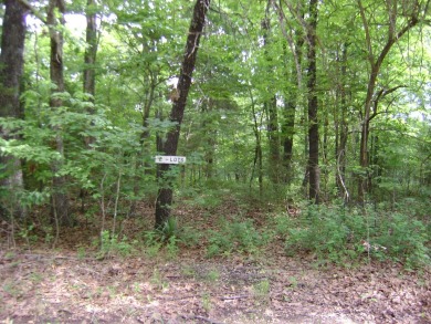 Great golf course lots at an affordable price. These lots are on on The Course At Turkey Mountain in Arkansas - for sale on GolfHomes.com, golf home, golf lot