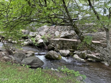 AMAZING!!!!  This corner lot has it ALL!  From the patio, you on Bent Creek Golf Course in Tennessee - for sale on GolfHomes.com, golf home, golf lot