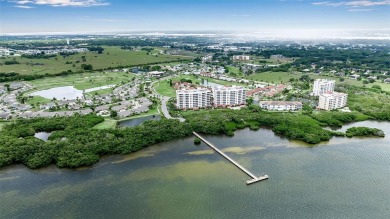 Welcome to your serene retreat in the heart of nature! Nestled on Terra Ceia Golf and Country Club in Florida - for sale on GolfHomes.com, golf home, golf lot
