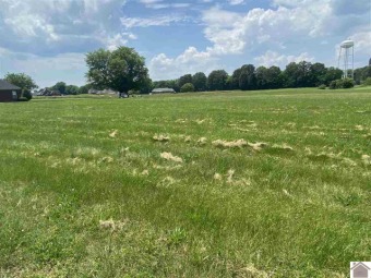 Looking to live on a golf course? Check out this beautiful lot on Drake Creek Golf Club in Kentucky - for sale on GolfHomes.com, golf home, golf lot