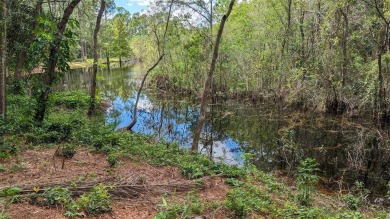 There is a 15 foot wide easement to the property. Imagine waking on Timacuan Golf and Country Club in Florida - for sale on GolfHomes.com, golf home, golf lot