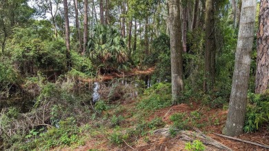 There is a 15 foot wide easement to the property. Imagine waking on Timacuan Golf and Country Club in Florida - for sale on GolfHomes.com, golf home, golf lot